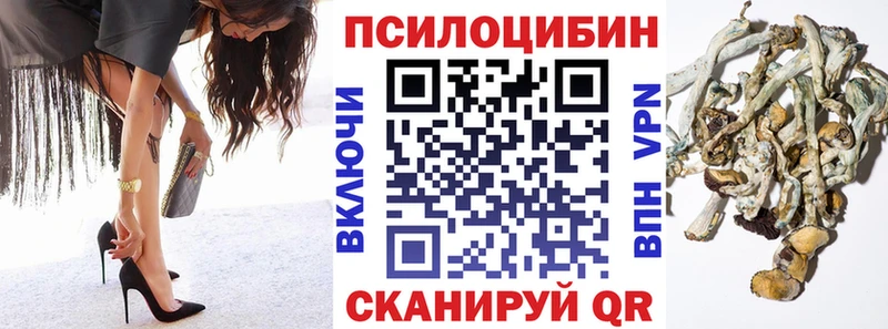 купить наркотик  Краснослободск  Галлюциногенные грибы GOLDEN TEACHER 